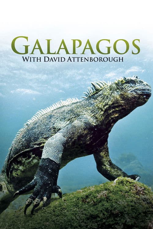 Galapagos 3D with David Attenborough (2013)