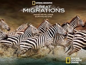 Great Migrations (2010)