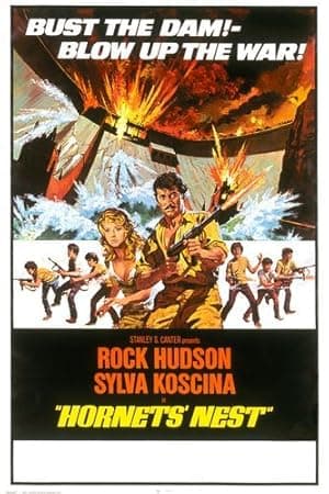 Hornets' Nest (1970)