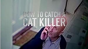 How to Catch a Cat Killer