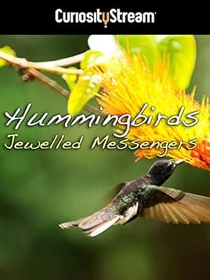 Hummingbirds: Jewelled Messengers (2012)