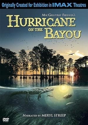 Hurricane on the Bayou (2006)