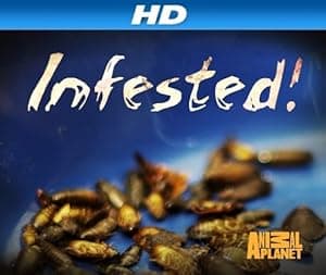 Infested (2011)