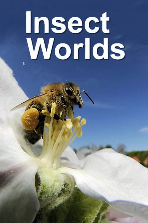 Insect Worlds (2013)