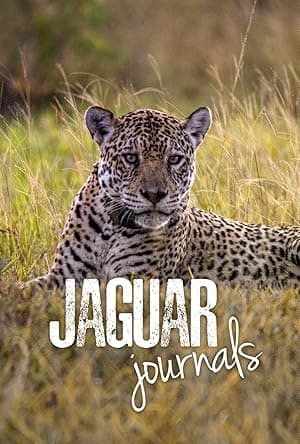 Jaguar Journals (2024)