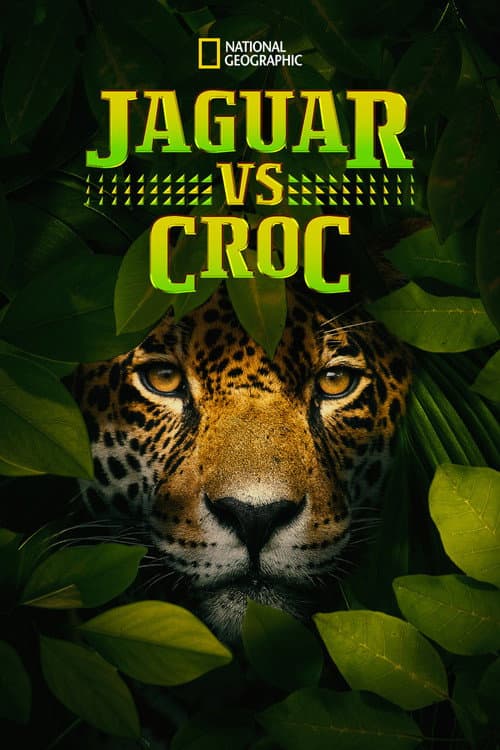 Jaguar vs. Croc (2017)