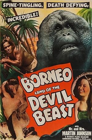 Jungle Green: Borneo