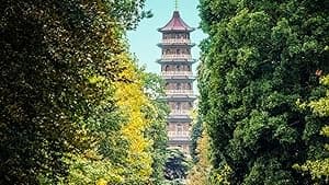 Kew Gardens: A Year in Bloom