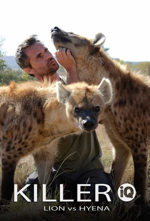 Killer IQ: Lion vs. Hyena (2015)