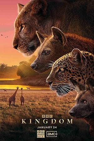 Kingdom