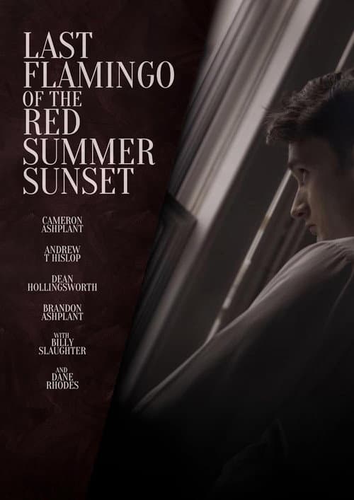 Last Flamingo of the Red Summer Sunset (2024)