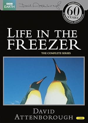 Life in the Freezer