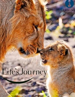 Life's Journey (2017)