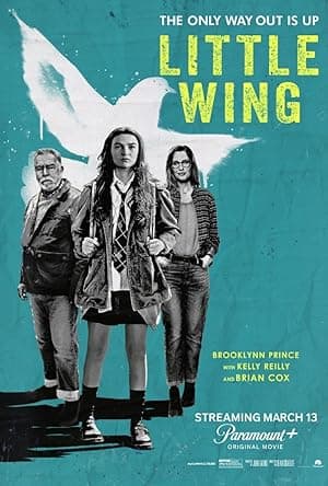 Little Wing (2024)
