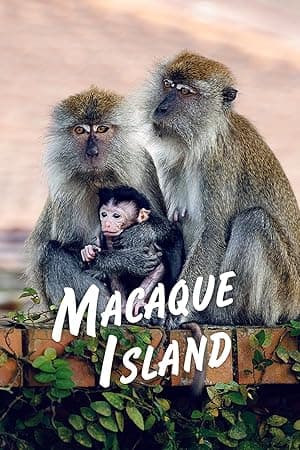Macaque Island
