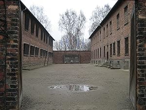 Made In Auschwitz