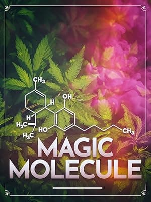 Magic Molecule (2018)