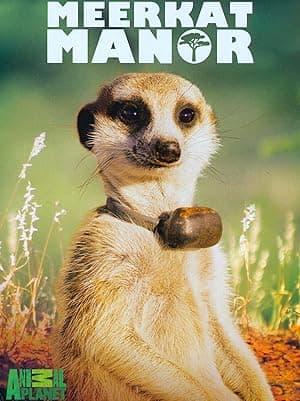 Meerkat Manor (2005)