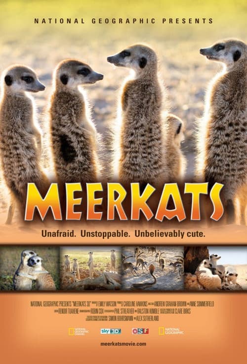 Meerkats 3D (2011)