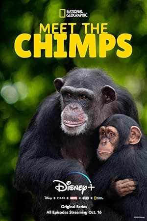 Meet The Chimps (2020)