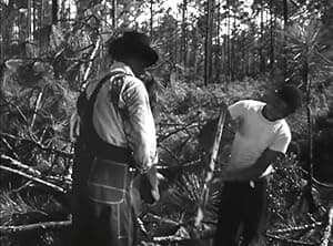Men Of The Forest (1952)