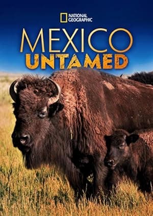 Mexico Untamed