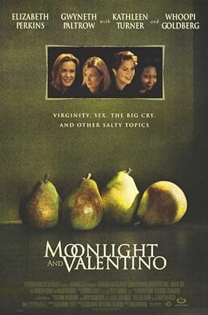 Moonlight and Valentino (1995)