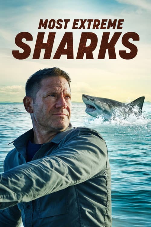 Most Extreme Sharks (2023)