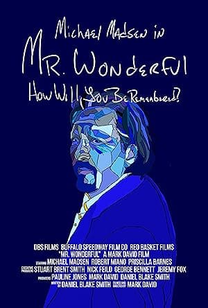 Mr. Wonderful (2026)