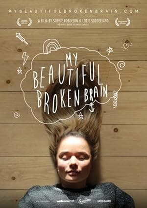 My Beautiful Broken Brain (2014)