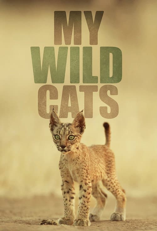My Wild Cats (2023)