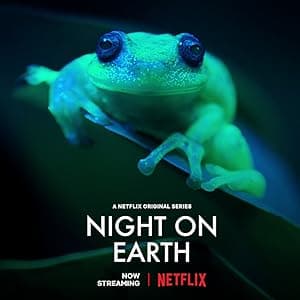 Night on Earth (2020)
