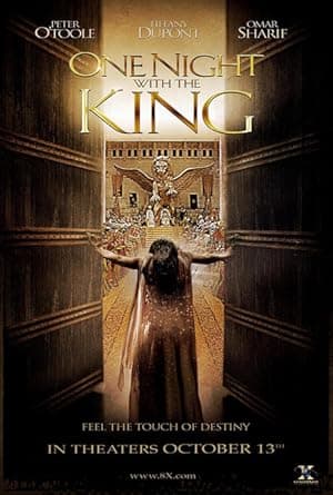 One Night with the King