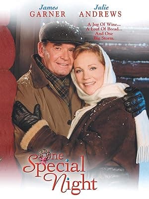 One Special Night (1999)