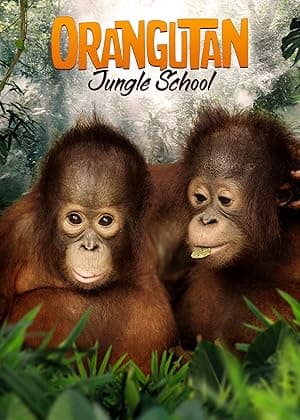 Orangutan Jungle School (2018)
