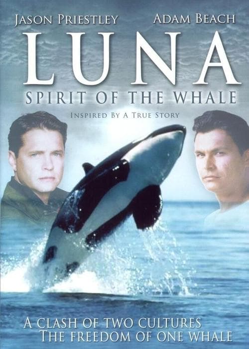 Orca The Journey Home