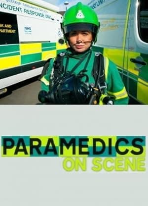 Paramedics on Scene