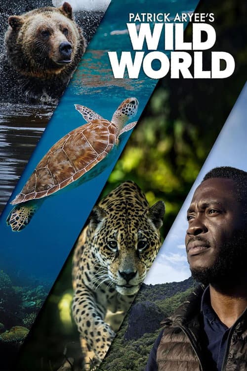 Patrick Aryee's Wild World