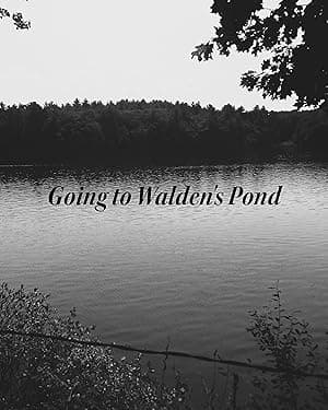 Pond