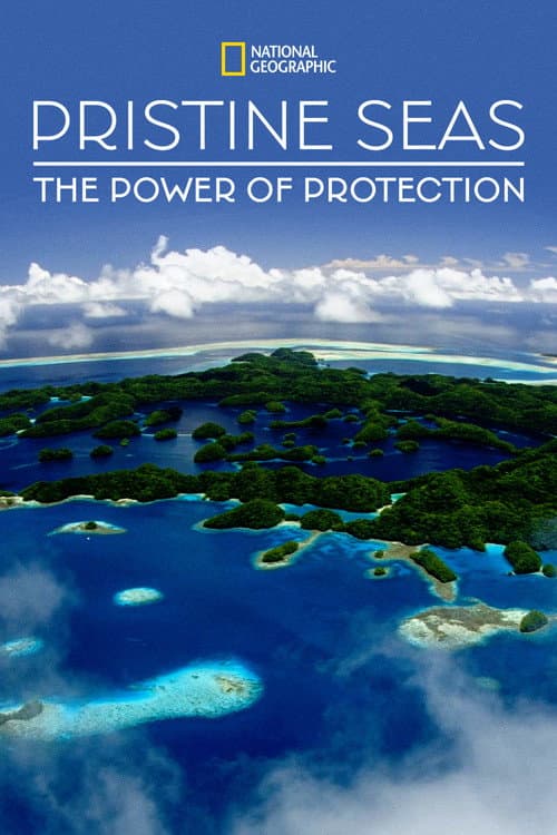 Pristine Seas: The Power of Protection (2021)