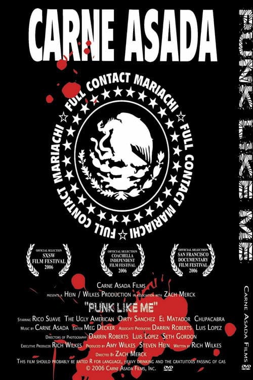 Punk Like Me (2006)