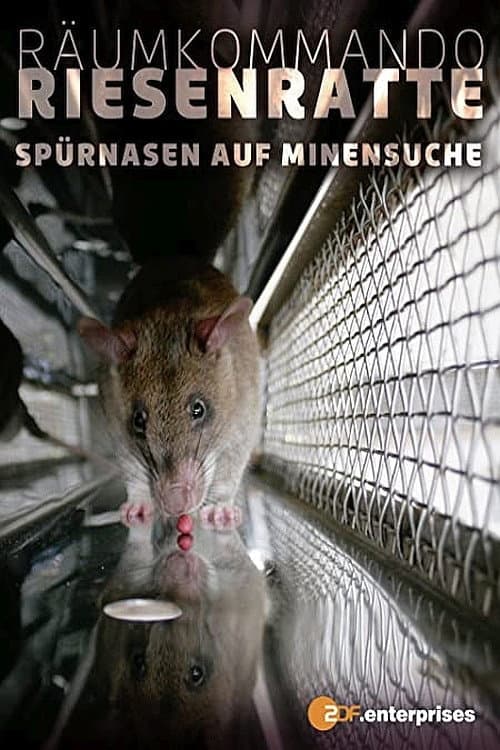 Räumkommando Riesenratte - Spürnasen auf Minensuche (2008)