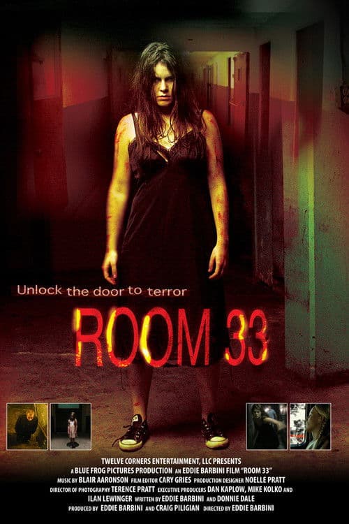Room 33 (2009)