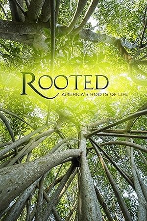 Rooted (2018)