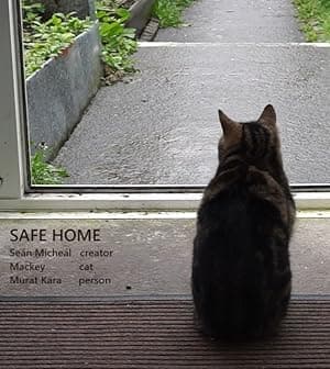 Safe Home