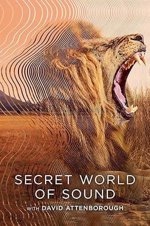 Secret World of Sound (2024)