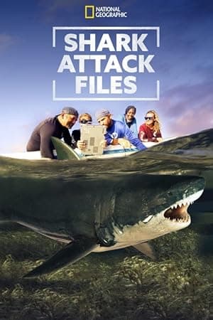 Shark Attack Files