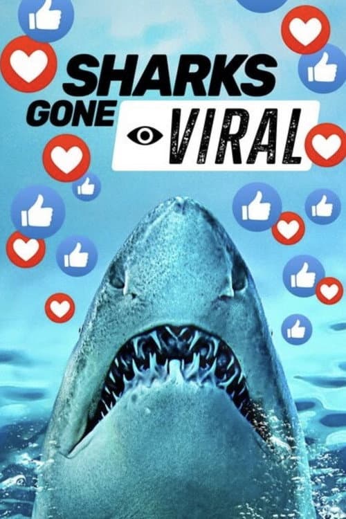 Sharks Gone Viral (2024)