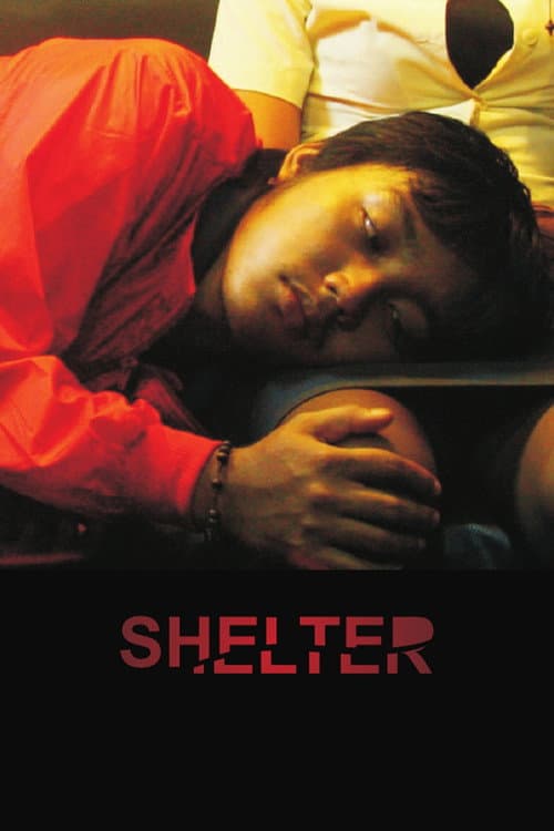 Shelter (2011)
