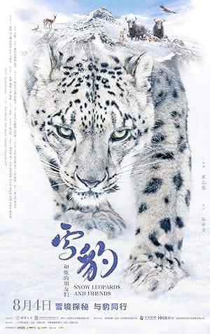 Snow Leopards and Friends